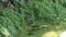 Katihar Villagers Witness Rare Snake Pair Dance For An Hour
