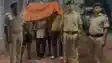 कटिहार पुलिस की बड़ी सफलता! 24 घंटे के अंदर अपहरण और रंगदारी कांड का खुलासा, बाबा डॉन समेत 4 को दबोचा
