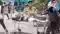 Bharat Tiwari Human Rights Commission notice dgp chief secretary