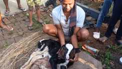 Bihar News : मुंगेर में दो मुंह और चार आंखों वाले बछड़े ने लिया जन्म, देखने के लिए उमड़ी भारी भीड़