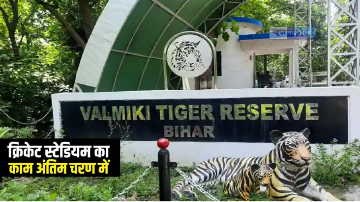 Bihar News : वाल्मीकि टाइगर रिजर्व में बाघिन की मौत से मचा ह Bihar News : वाल्मीकि टाइगर रिजर्व में बाघिन की मौत से मचा ह