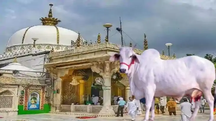 Ajmer Sharif cleric on cow