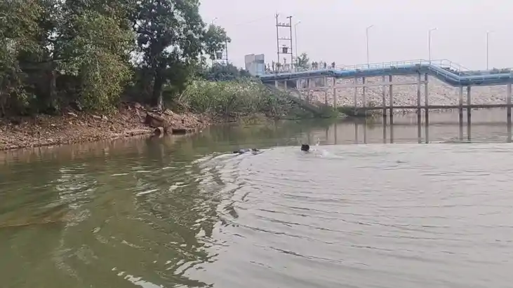 Bihar Crime : मुंगेर में चार दिनों से लापता युवक का मिला शव,