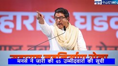 Maharashtra Assembly Elections 2024:  मनसे ने जारी की 45 उम्मीदवारों की सूची, राज ठाकरे के बेटे माहिम से लड़ेंगे चुनाव