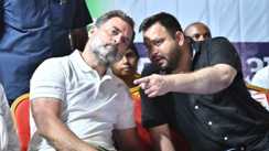 राहुल तेजस्वी 