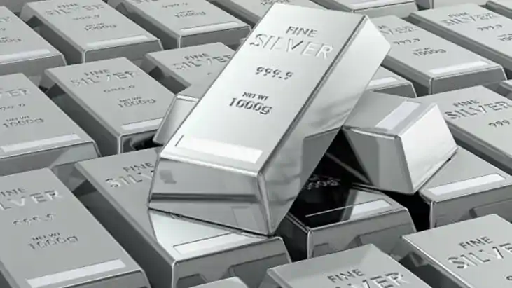 Silver Import India