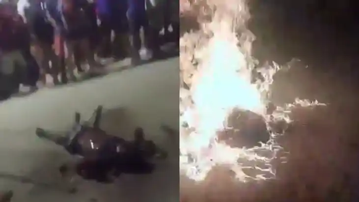 Viral Clip: दहला देगा ये मंजर! जब ब्राजील में रेपिस्ट को लोग Viral Clip: दहला देगा ये मंजर! जब ब्राजील में रेपिस्ट को लोग