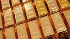 Patna  DRI Seizes