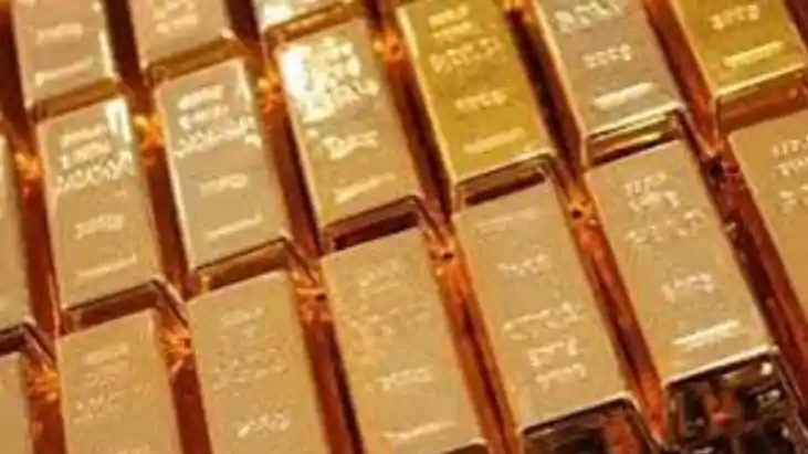 Patna  DRI Seizes