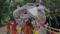 Bhagalpur Kanwariya Yatra