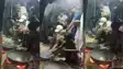 Voter Adhikar Yatra : वोटर अधिकार यात्रा के तहत कटिहार पहुंचे राहुल गाँधी, मखाना किसानों से मुलाकात, अपने हाथों से की मखाना फोड़ी 