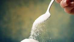 Sugar Price Today