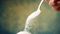 Sugar Price Today