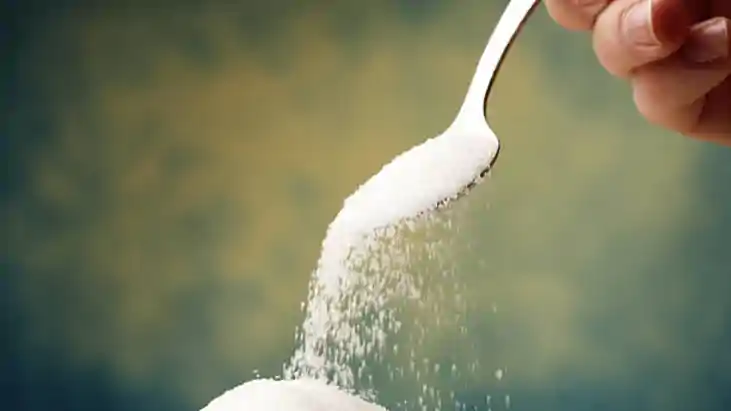 Sugar Price Today