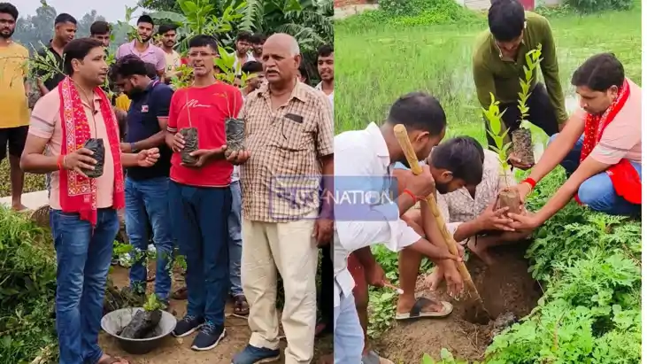 Bikram saidabad village tree plantation drive