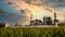 Sugar Production