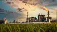 Sugar Production