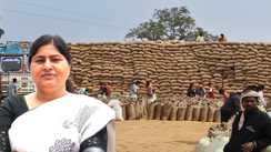 बिहार में धान खरीद की डेडलाइन बढ़ी: मंत्री लेशी सिंह की पहल पर अब 31 मार्च 2026 तक मिलेगा MSP का लाभ