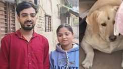 dog beaten broke wedding ride groom twist after 4 days