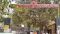 Patna Civil Court