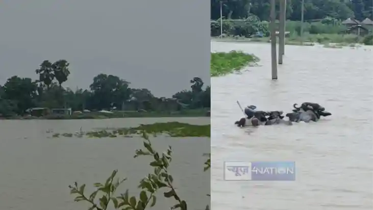 Bihar Flood Bihar Flood
