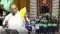 Bihar Legislative Council