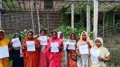 Mushroom Scheme Trouble  Bihar Women Face Loan Repayment Crisis