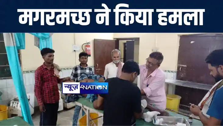 गोपालगंज में गंडक नदी में स्नाने करने गए युवक पर मगरमच्छ ने गोपालगंज में गंडक नदी में स्नाने करने गए युवक पर मगरमच्छ ने