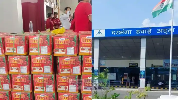 शाही लीची शाही लीची