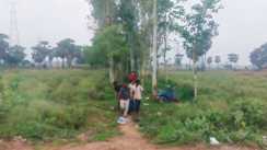Nalanda Crime