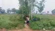 Nalanda Crime