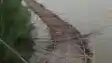 Bagmati Turns Fierce Bridges Collapse