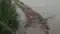 Bagmati Turns Fierce Bridges Collapse