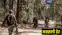 Encounter with Naxalites