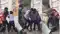 patna beur police sipara bridge knife attack