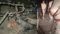 Patna Erupts Stone Pelting Vehicles Torched Tension Soars
