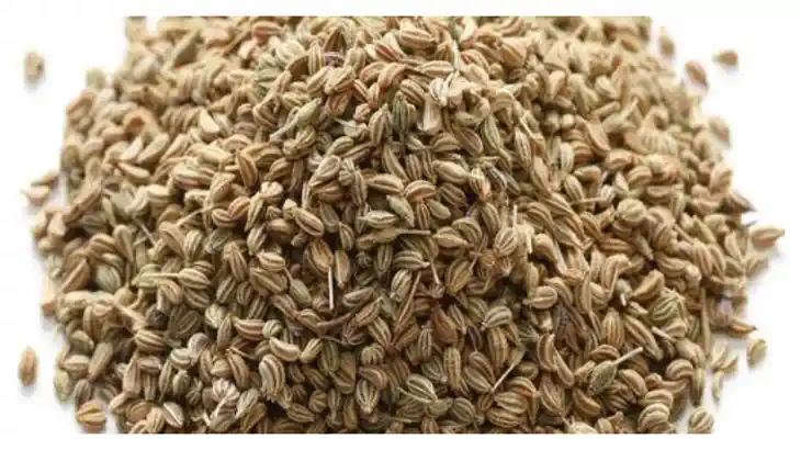 Weight Loss: हर दिन पीएं अजवाइन का पानी, शरीर को मिलेगा ये फ Weight Loss: हर दिन पीएं अजवाइन का पानी, शरीर को मिलेगा ये फ