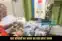 Purnia viral News