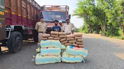 Bihar News : गोपालगंज पुलिस ने पिकअप पर लोड गांजा की बड़ी खेप किया बरामद, मौके से तस्कर को किया गिरफ्तार 