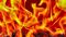 Patna Fire