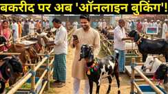 बकरीद पर अब 'ऑनलाइन बुकिंग'! बिहार सहित 4 राज्यों में पहली बार बुक होंगे बकरे, जानें पूरा प्रोसेस