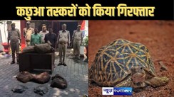 कछुआ तस्करों को पुलिस ने किया गिरफ्तार, 138 कछुआ क़ब्ज़े से बरामद