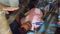 barhiya businessman murder 
