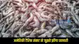 US Tariff On India