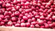 onion price