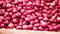 onion price