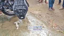 Cobra Found Inside Bank Manager Bullet Bike in Gaya Panic