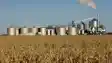 Ethanol production