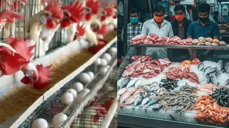 एक्शन मोड में नगर निगम: मंगलवार को मांस-मछली बेची तो होगी का