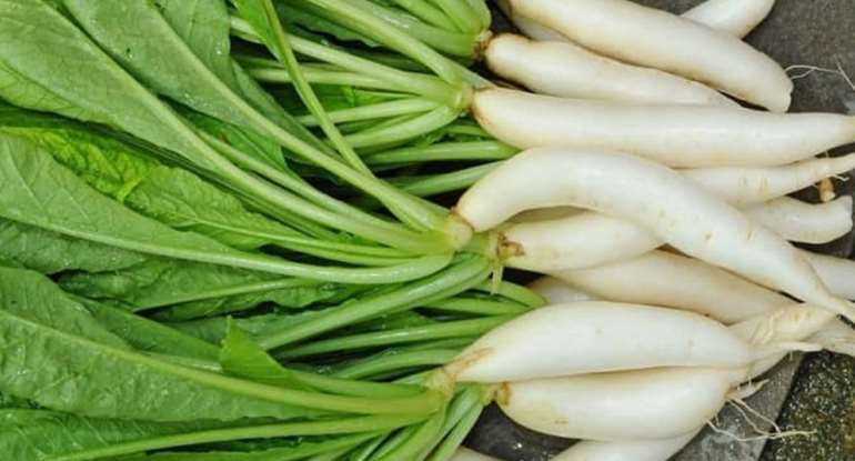  Radish Leaves 